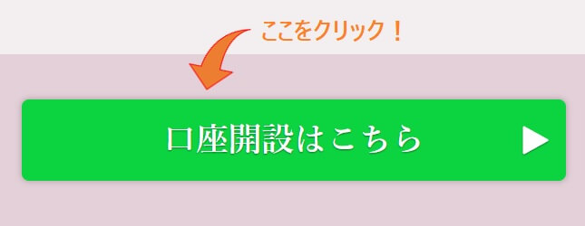 BITpointの申し込み画面